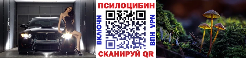 Псилоцибиновые грибы прущие грибы Сковородино